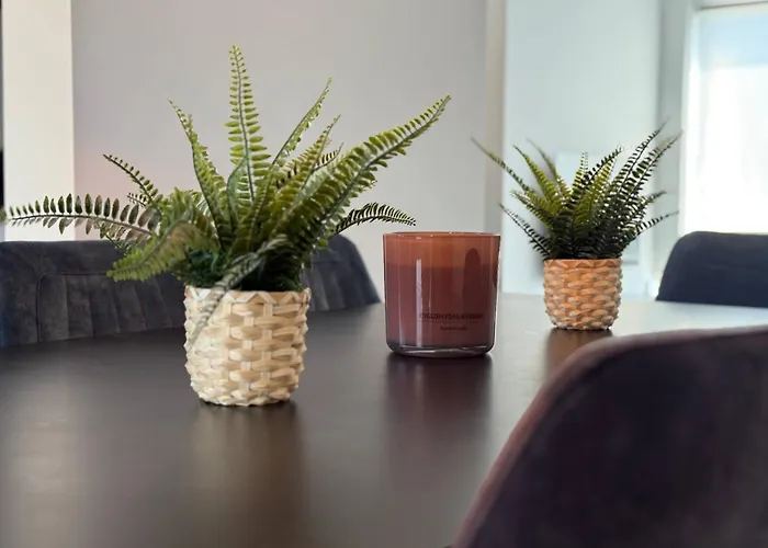 Modern 3br House In Holiday home