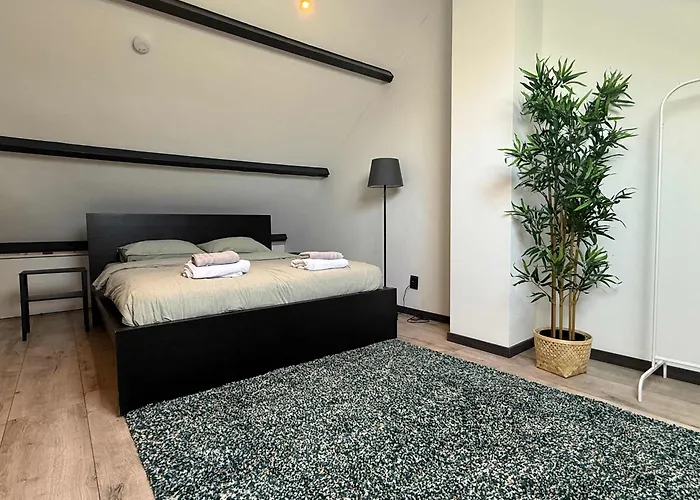 Modern 3br House In Holiday home *