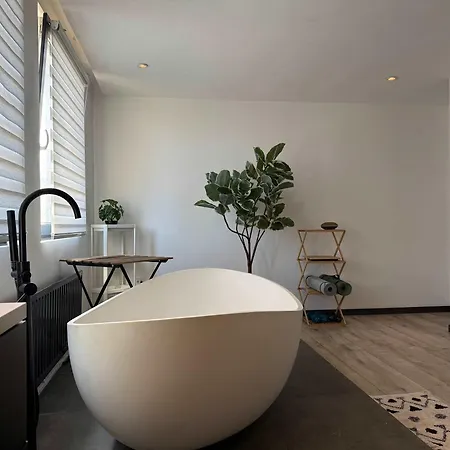 Modern 3br House In Nuenen